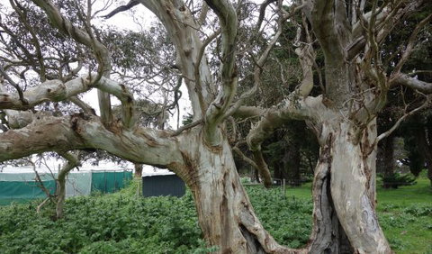 Morella Farm Stay - Darwin Holiday 10