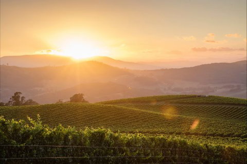 Mt Bellevue Lodge - King Valley - Darwin Holiday 1