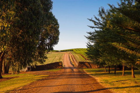 Mt Bellevue Lodge - King Valley - Darwin Holiday 3