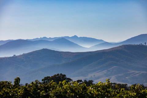 Mt Bellevue Lodge - King Valley - Darwin Holiday 4