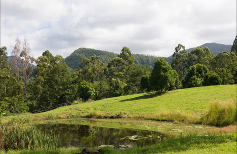 Nimbin Waterfall Retreat - Darwin Holiday 3
