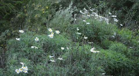 Northam Caravan Park - Darwin Holiday 2