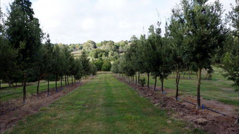 Oakhill Cottage - Darwin Holiday 6