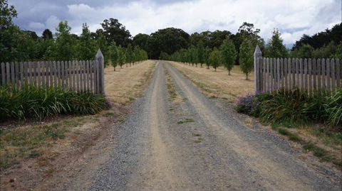 Oakhill Cottage - Darwin Holiday 7