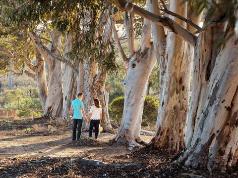 Rilli Retreat - Darwin Holiday 3