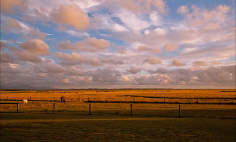 Sanctuary@Waratah - Darwin Holiday 8