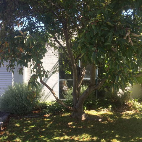 Sea-Ena - Darwin Holiday 2