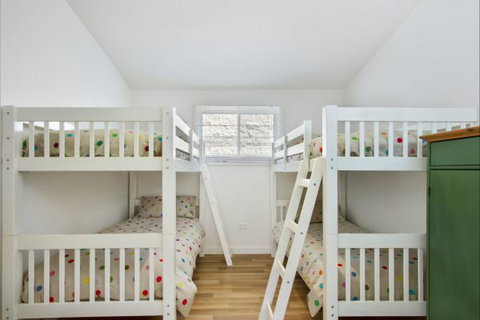 Seahorse - Darwin Holiday 5