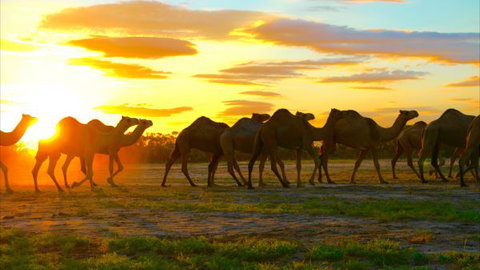 Shandonvale Station - Darwin Holiday 4