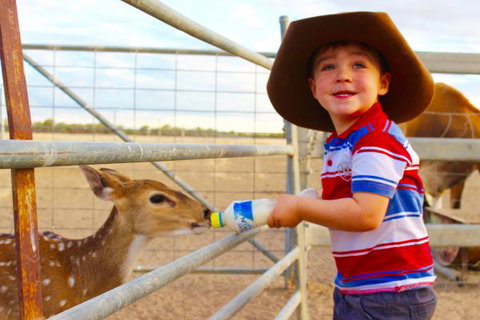 Shandonvale Station - Darwin Holiday 9
