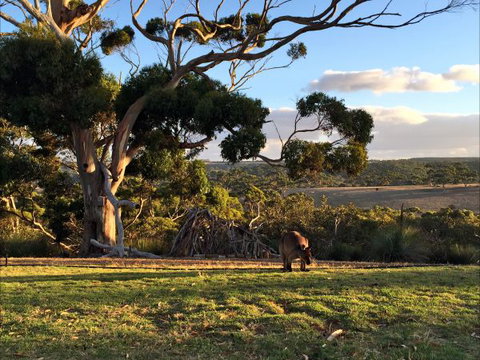 Tammar Ridge - Darwin Holiday 2