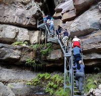 Takarakka Bush Resort Carnarvon Gorge - Darwin Holiday