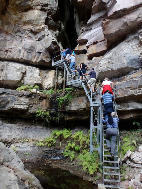 Takarakka Bush Resort Carnarvon Gorge - Darwin Holiday 0