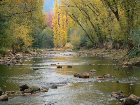 Tessies Studio - Darwin Holiday 8