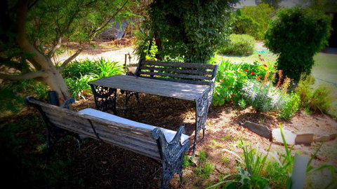 The Pig And Whistle - Darwin Holiday 1