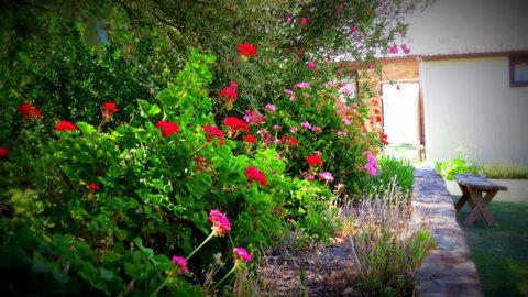 The Pig And Whistle - Darwin Holiday 4