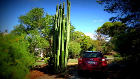 The Pig And Whistle - Darwin Holiday 6