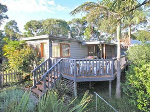 The Deweyshack - Darwin Holiday 0