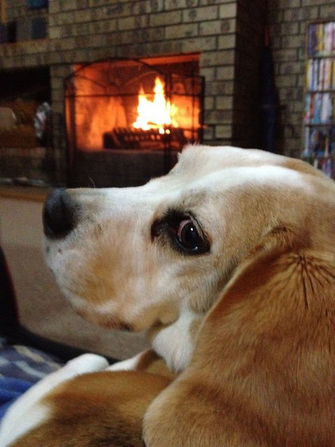 The Retreat On Matthew - Darwin Holiday 2