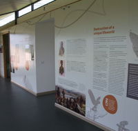 Whitestone Apartments - Darwin Holiday