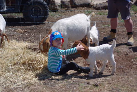 Yalooka Farm - Darwin Holiday 3