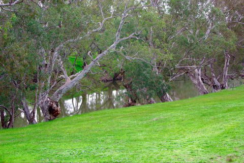 Yalooka Farm - Darwin Holiday 4