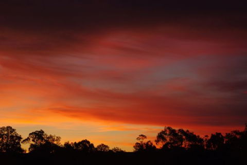 Yalooka Farm - Darwin Holiday 5