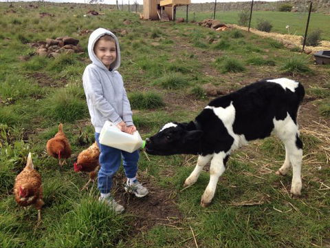 Yalooka Farm - Darwin Holiday 8