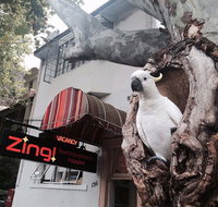 Zing Backpackers Hostel - Darwin Holiday
