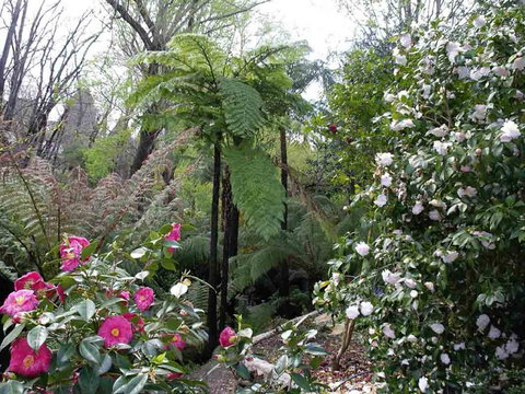 Adelaide Hills B&B Accommodation - Darwin Holiday 3