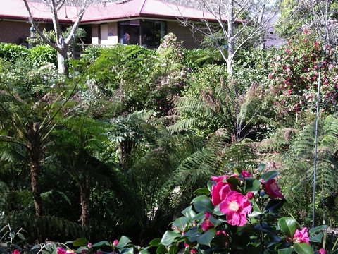 Adelaide Hills B&B Accommodation - Darwin Holiday 6