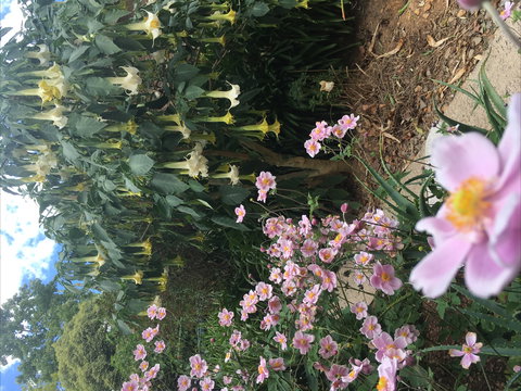 Adelaide Hills B&B Accommodation - Darwin Holiday 7