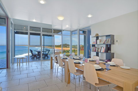 Albatross - Darwin Holiday 1