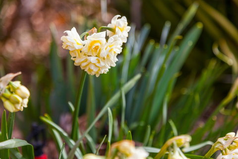 Amaroo Farm - Darwin Holiday 7