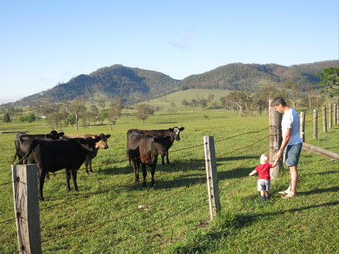 Barrington Hideaway- River Cottages - Darwin Holiday 6