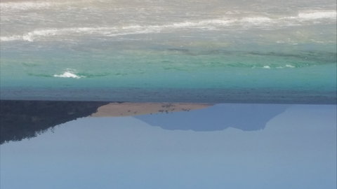 Beezneez B&B - Darwin Holiday 7