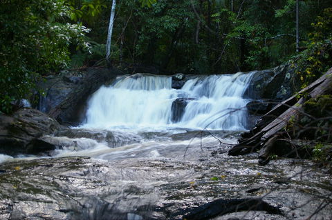 Bellthorpe Stays - Nature's Retreat - Darwin Holiday 5