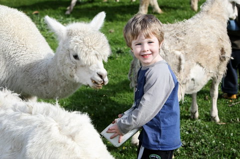 Boronia Farm - Darwin Holiday 2