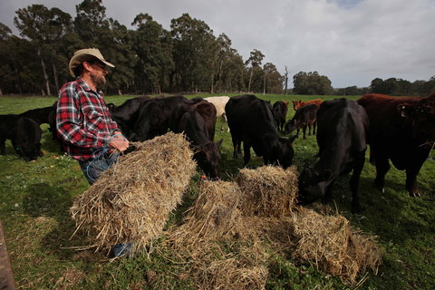 Boronia Farm - Darwin Holiday 5