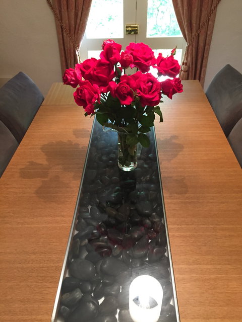 Dennis Cottage - Darwin Holiday 2