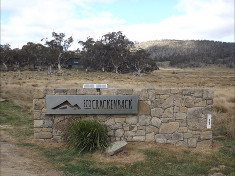 Ecocrackenback - Darwin Holiday 8