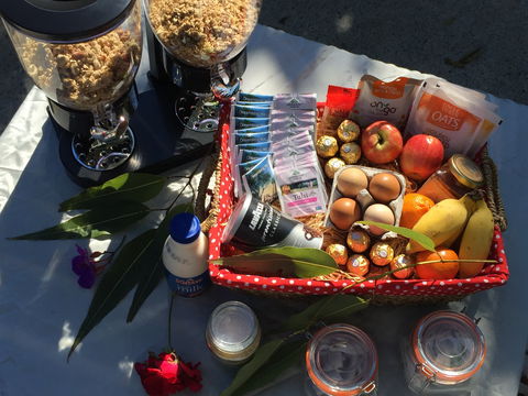 Fig Tree Retro Studio - Darwin Holiday 2