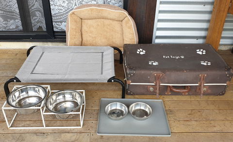 Fig Tree Retro Studio - Darwin Holiday 3