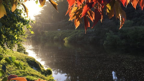 Forth River Cottage - Darwin Holiday 4