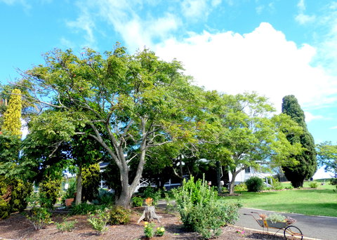 Forest Lodge Highfields - Darwin Holiday 3