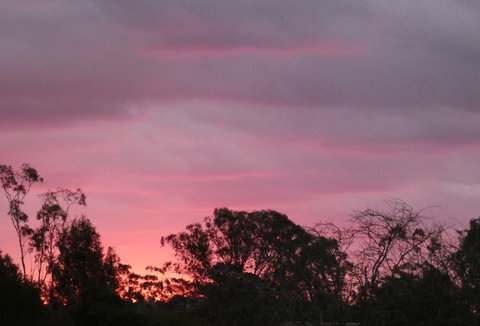 Forest Lodge Highfields - Darwin Holiday 4