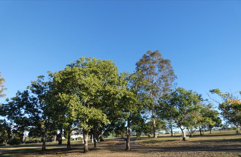 Forest Lodge Highfields - Darwin Holiday 6