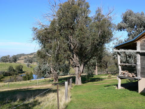 Gaddleen Grove Cottages - Darwin Holiday 9