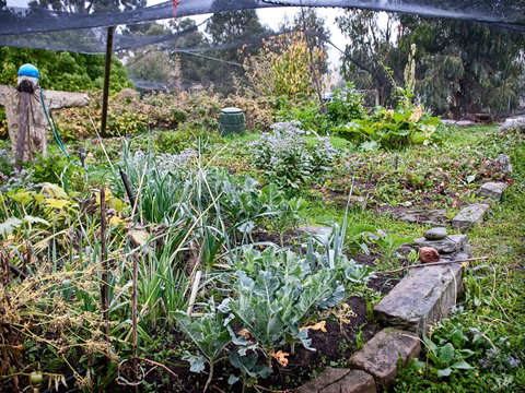 Hamilton Heritage Holiday Homes - McCauley's Cottage - Darwin Holiday 3