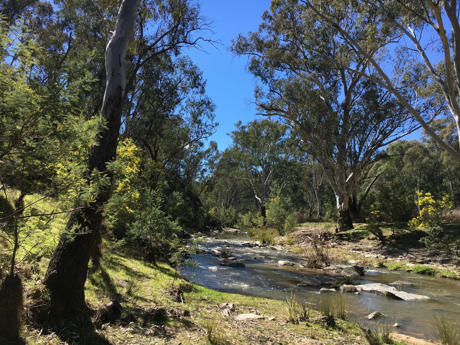 Mount Adrah NSW Darwin Holiday